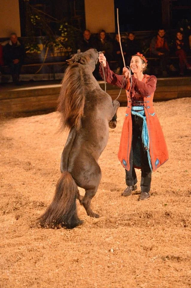 Voltige + 1 Cours d'équitation - ADULTE