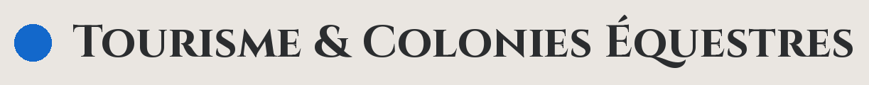 Logo avec un point bleu suivi du texte "Tourisme & Colonies Équestres" en noir.