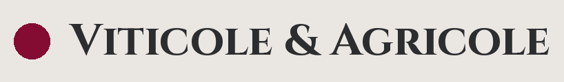 Logo avec un cercle violet et le texte "VITICOLE & AGRICOLE" en lettres noires.