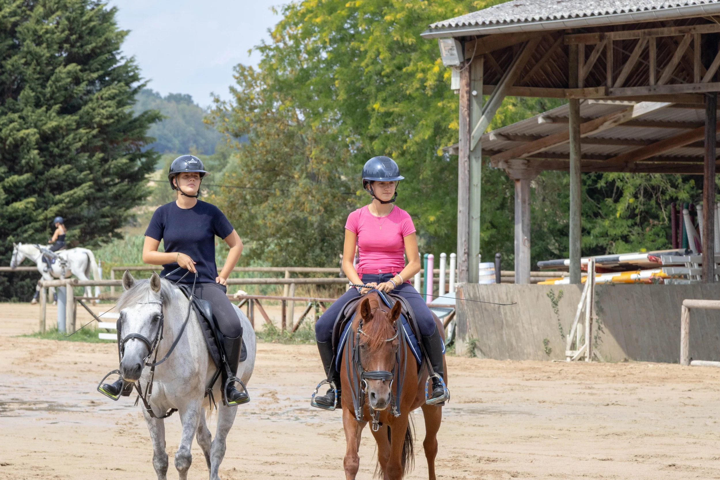Demi Pension - Cheval - 2 Montes
