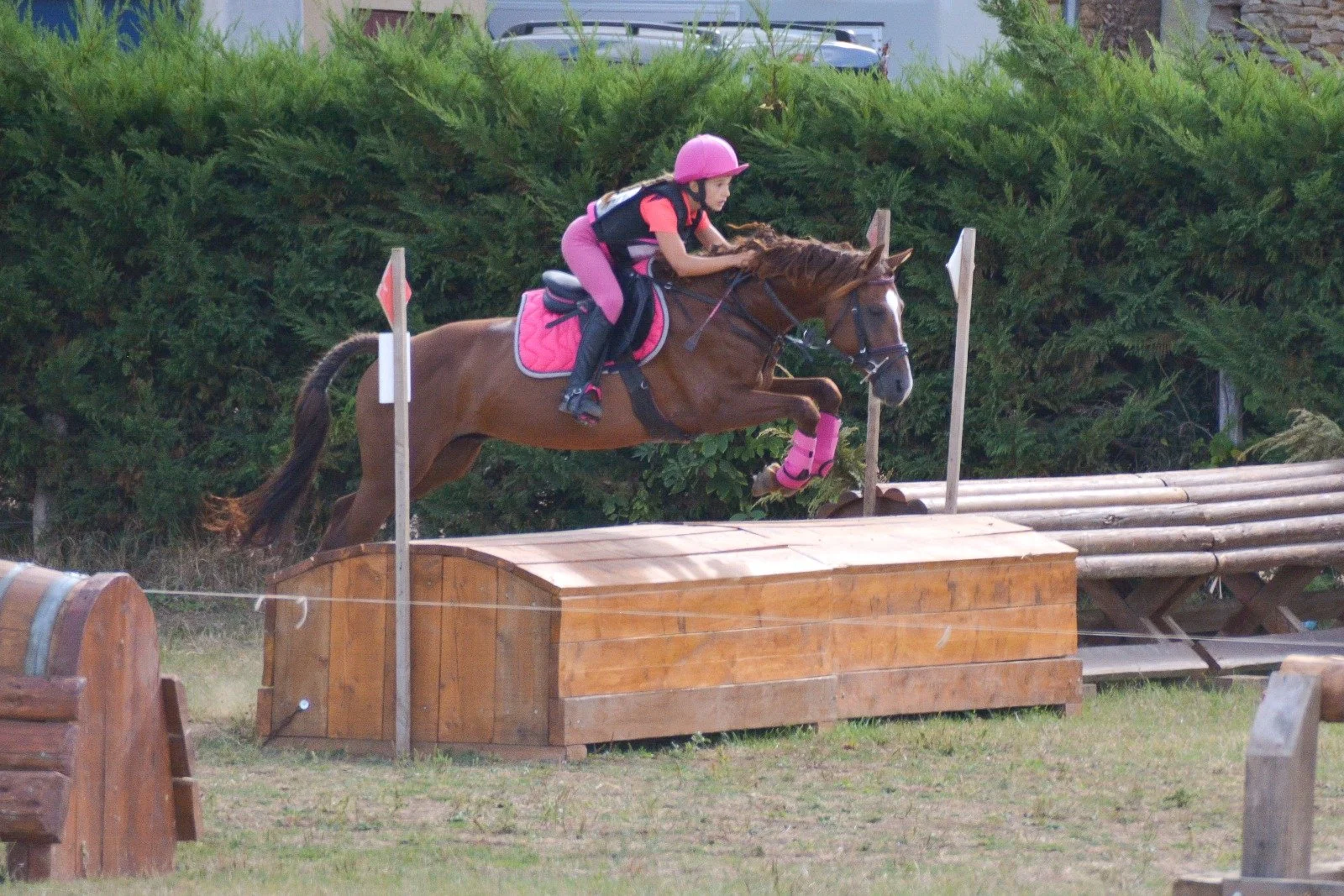 Une jeune fille en casque rose et équipement rose et noir fait du saut d'obstacles à cheval dans un paddock avec des haies en bois et des arbustes verts en arrière-plan.