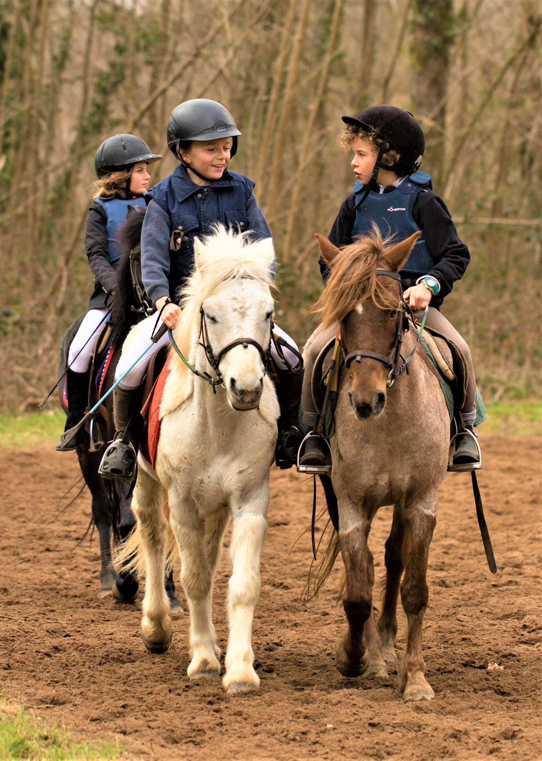 Sport Concours petits ++).jpg