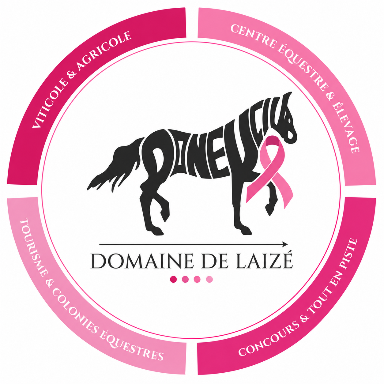 DOMAINE DE LAIZÉ