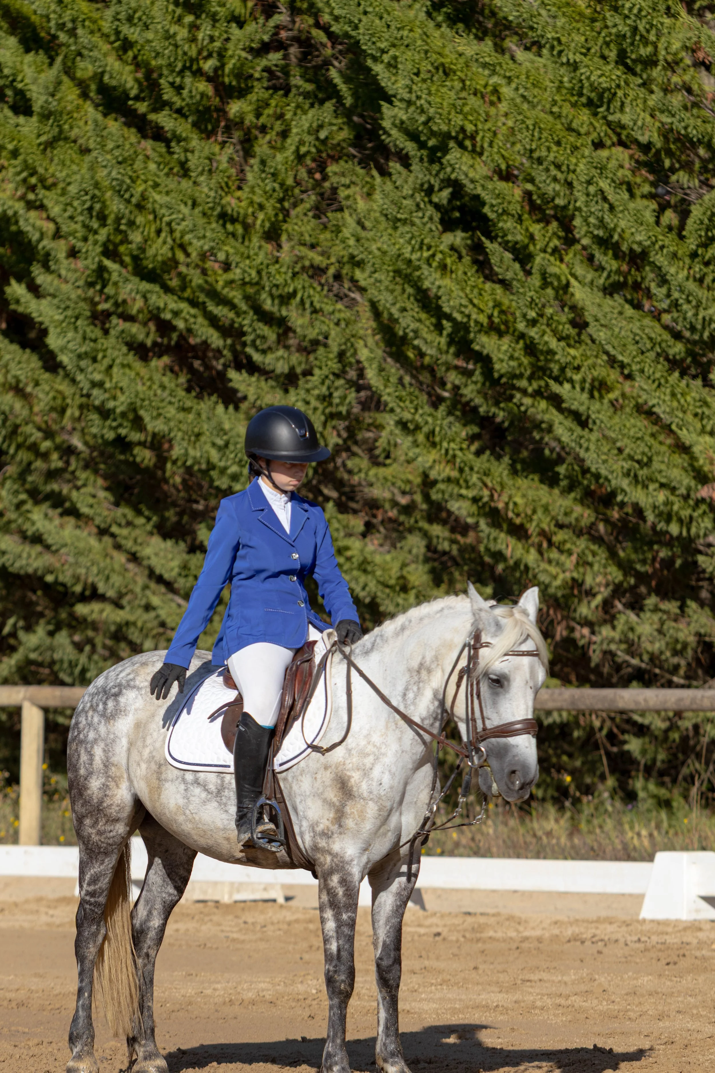Ip - Hop De Givry