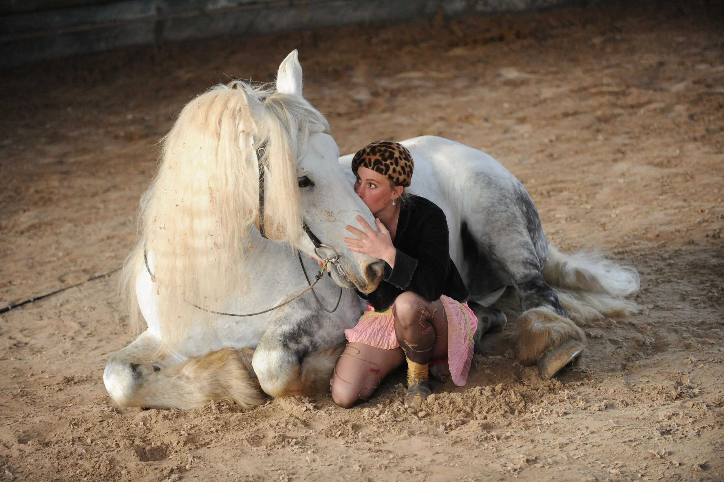 Une femme et une enfant avec un cheval blanc dans un espace intérieur en terre battue.