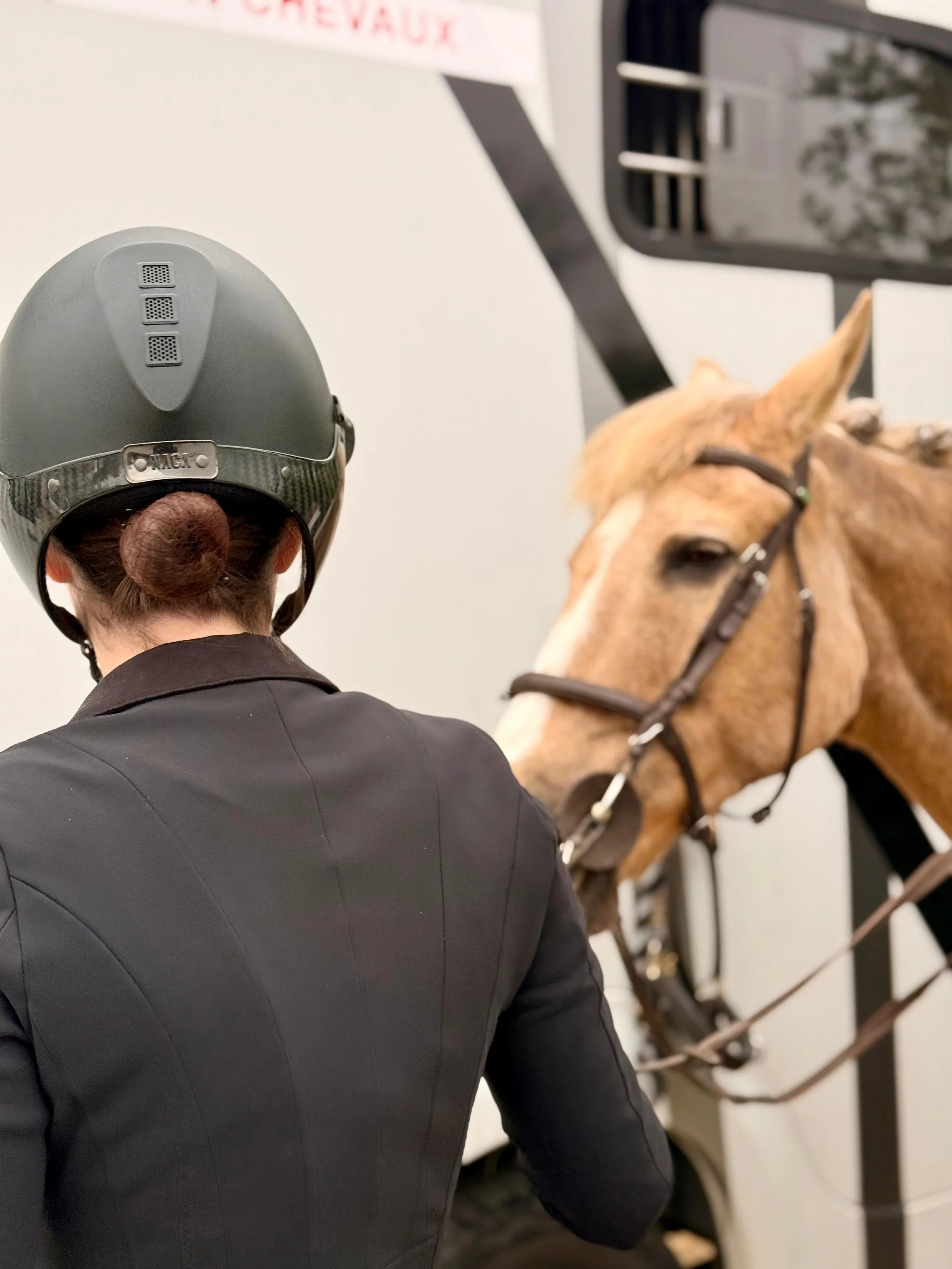 Une personne portant un casque de sécurité et une veste noire, de dos, à côté d'un cheval brun avec un harnais, dans un environnement intérieur.