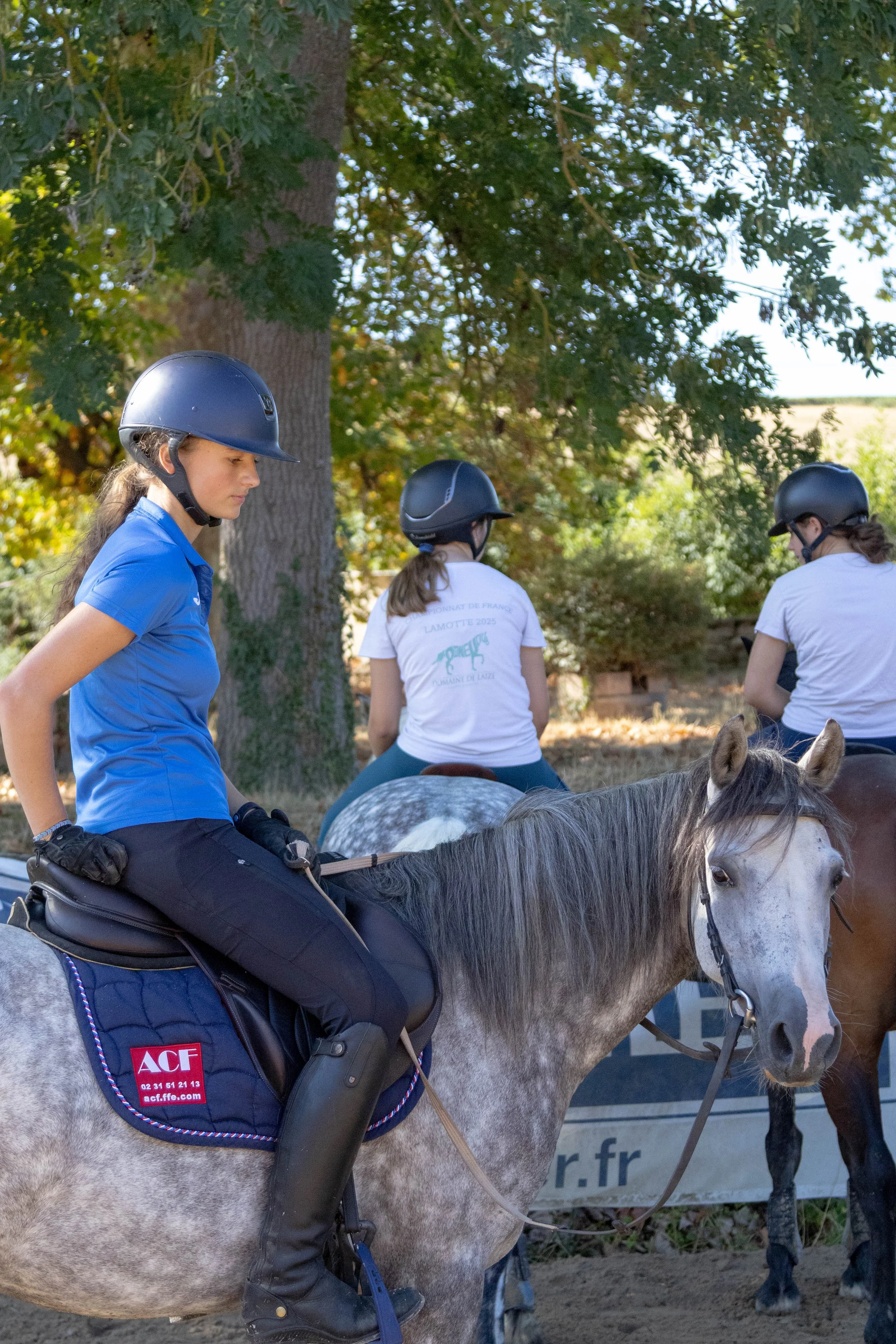 Demi Pension - Poney - 2 Montes