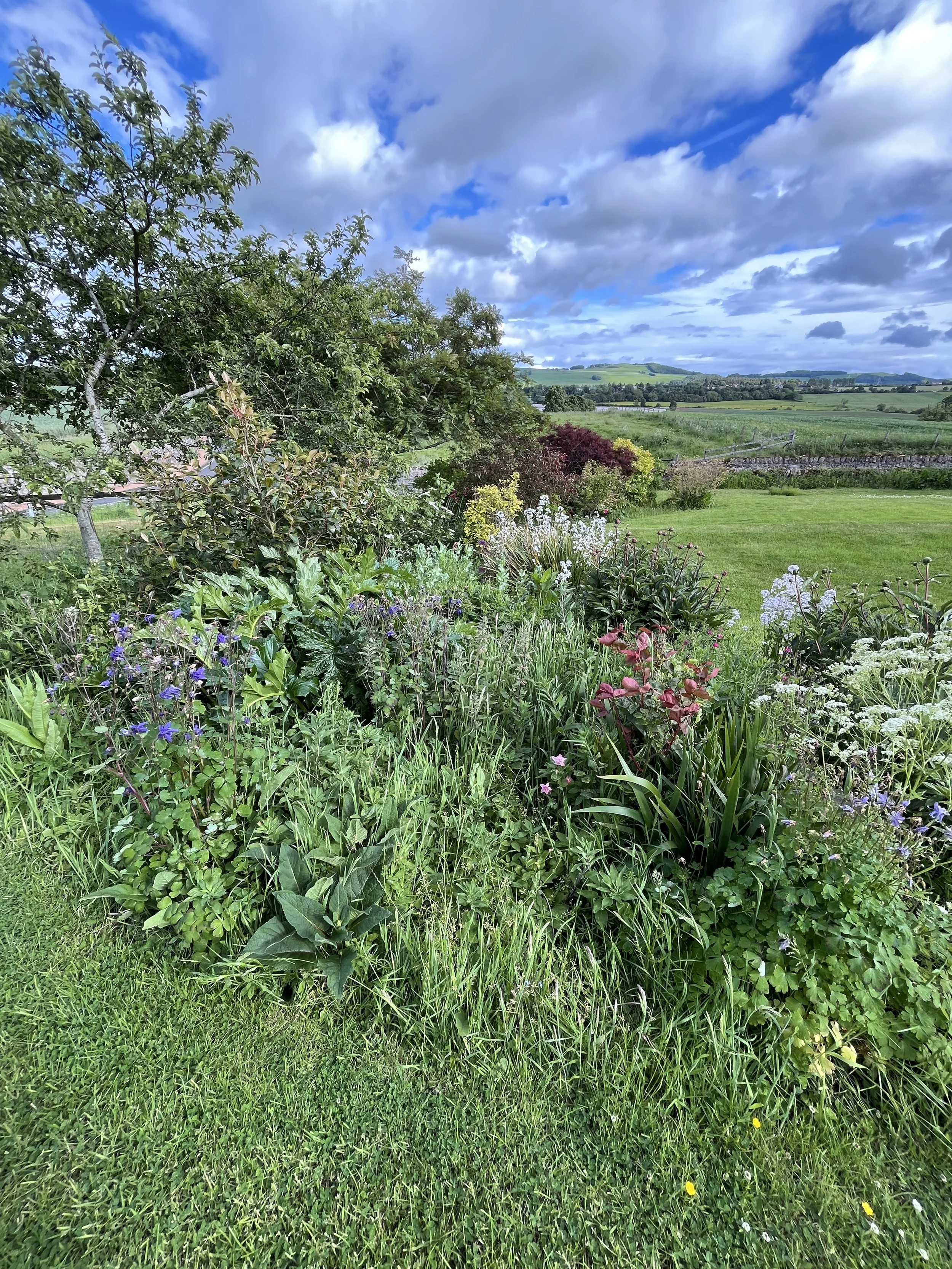 A lush green garden with various plants and flowers, a well-maintained grassy lawn, a stone wall, and rolling hills in the distance under a partly cloudy sky.