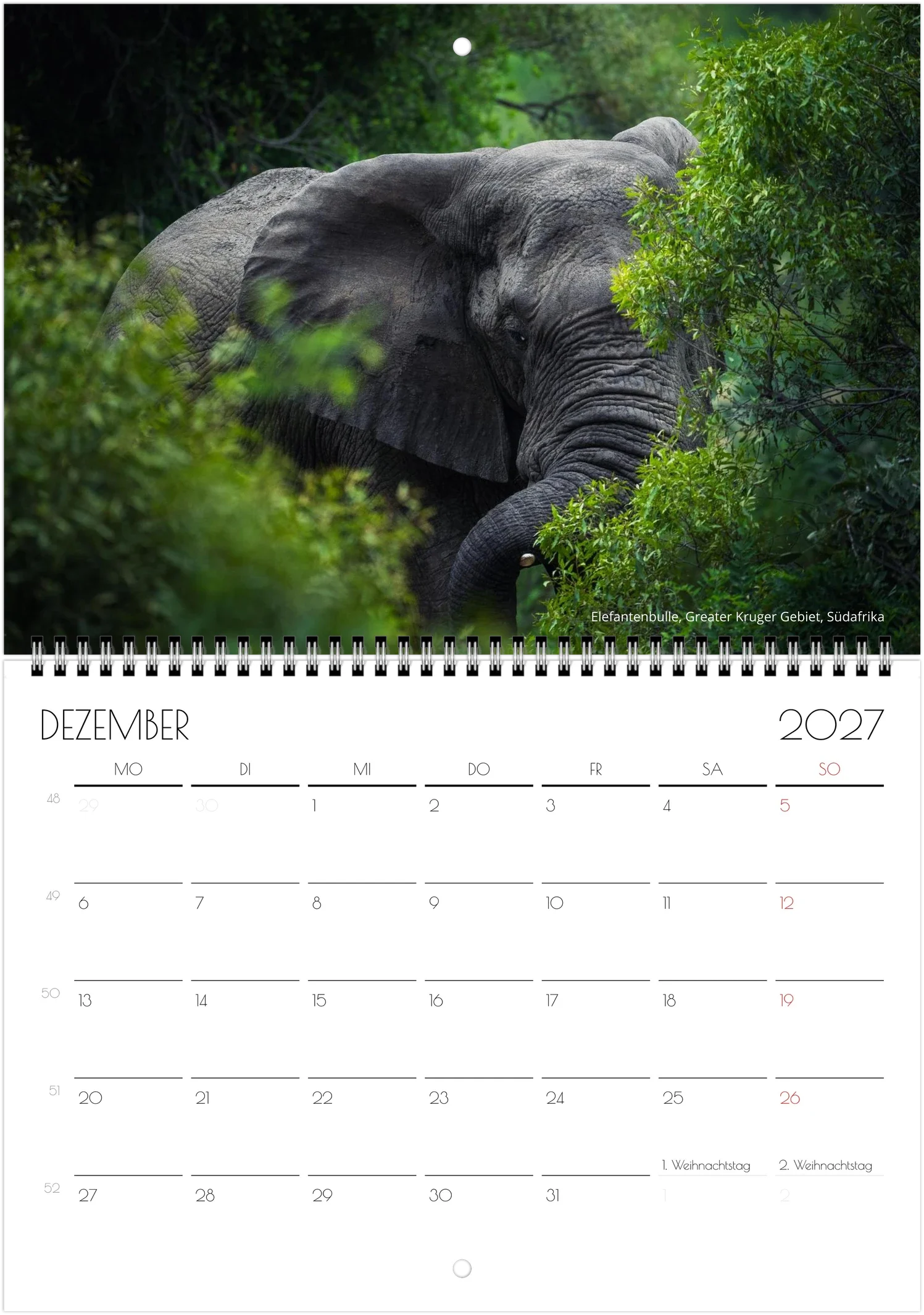 month-12.webp