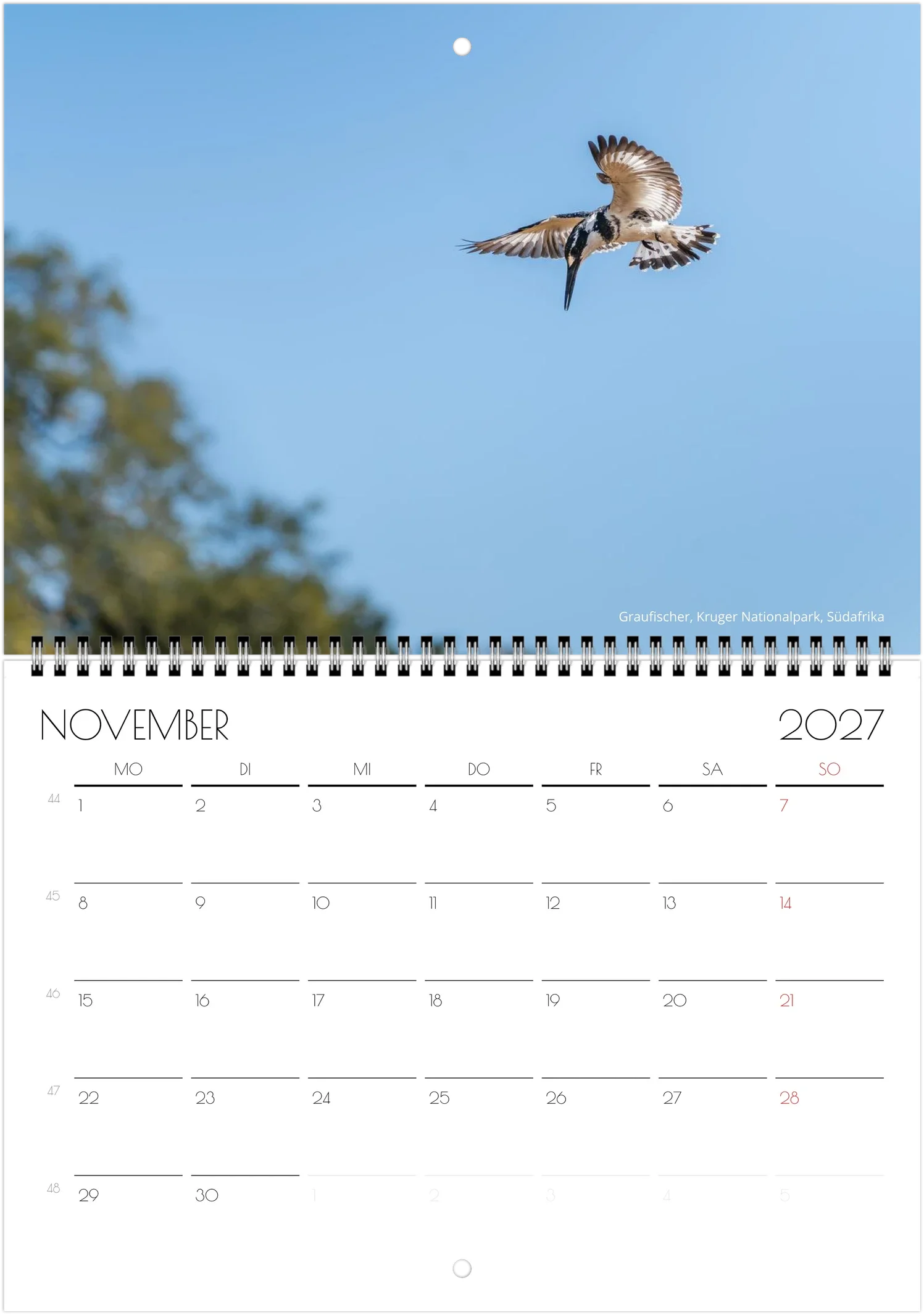 month-11.webp
