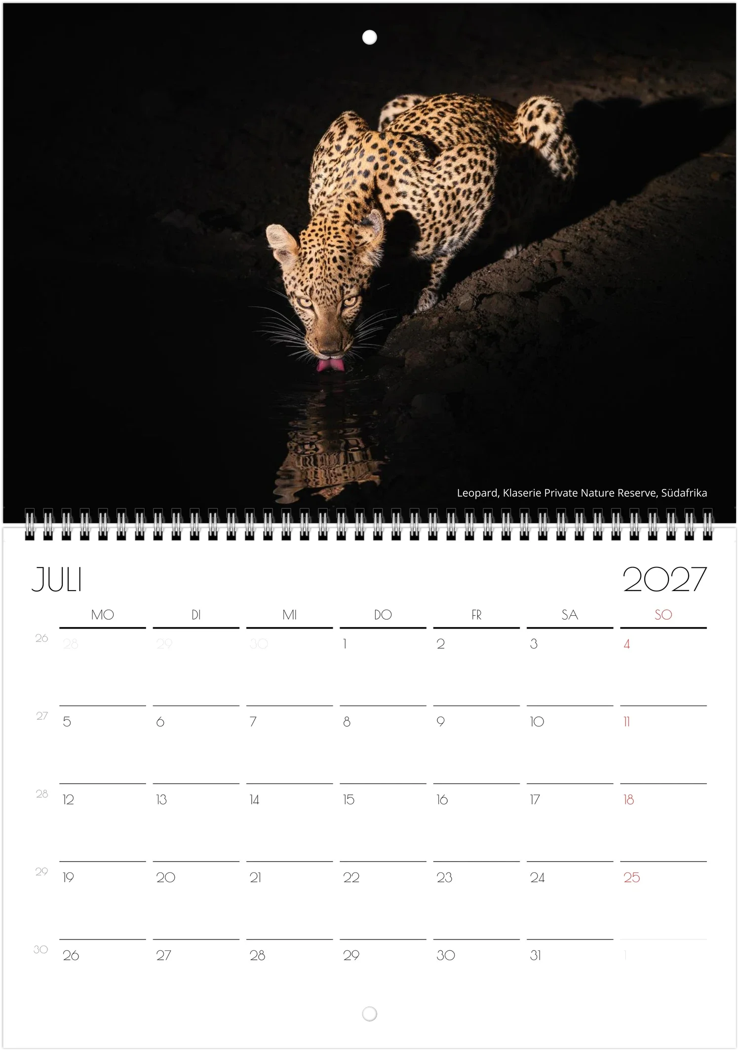 month-7.webp