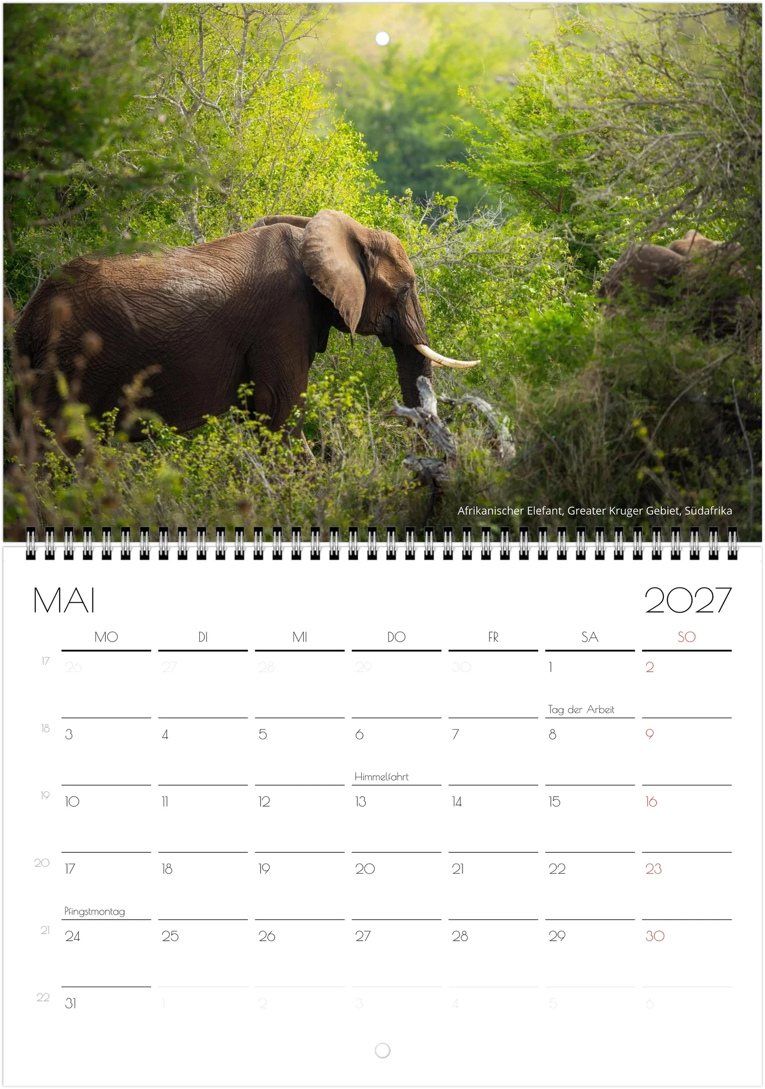 month-5.webp