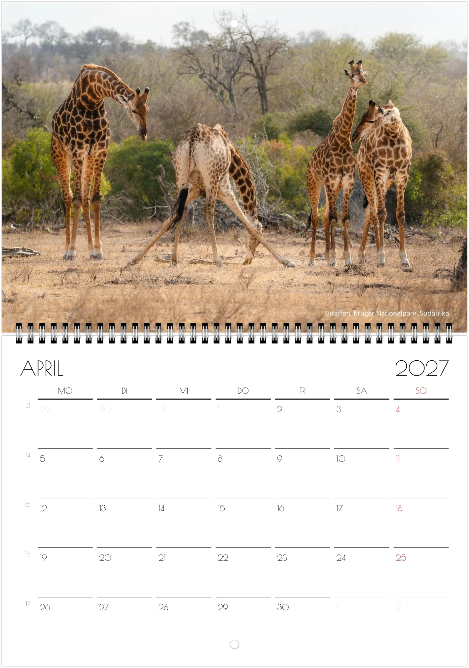 month-4.webp