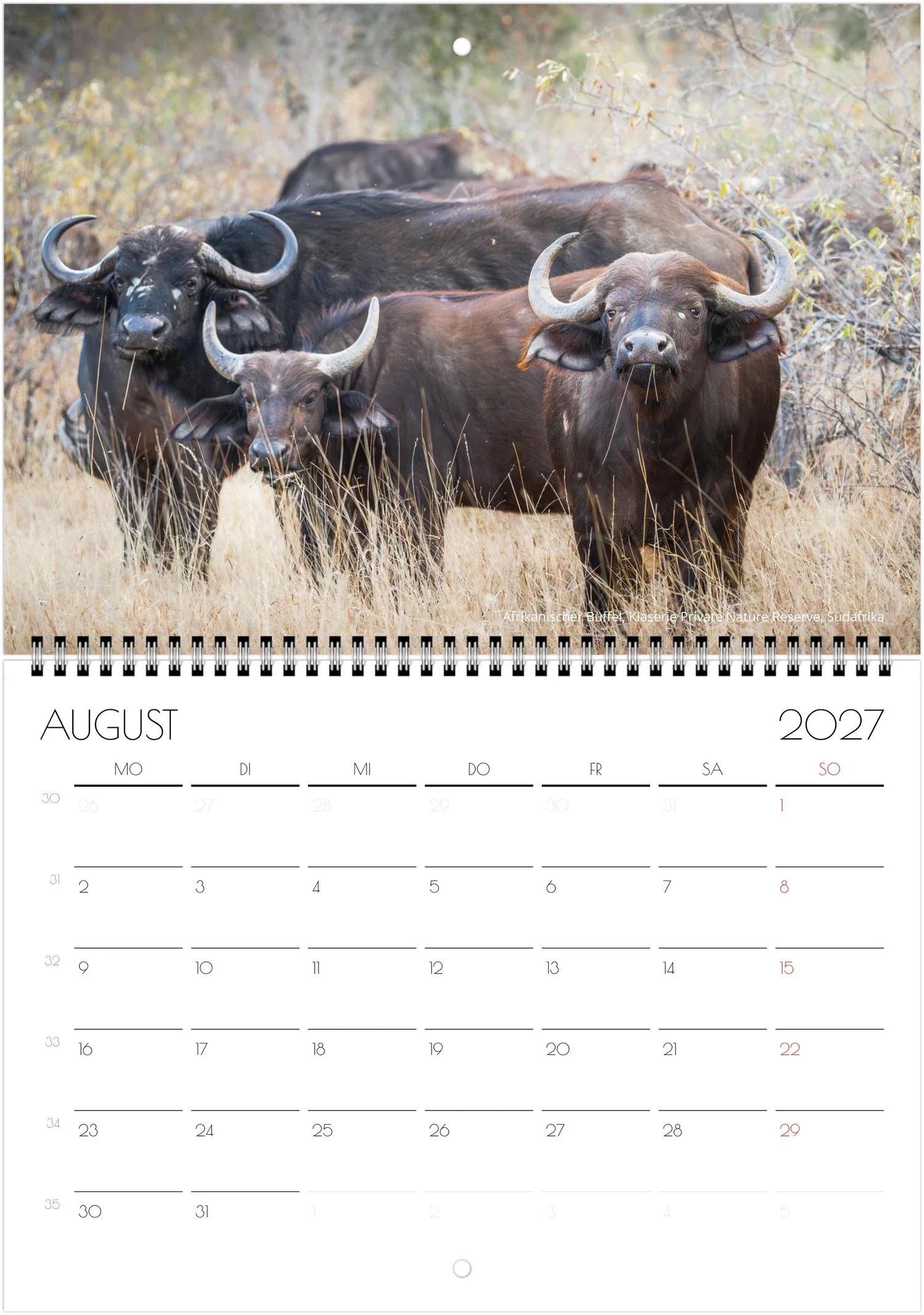 month-8.webp