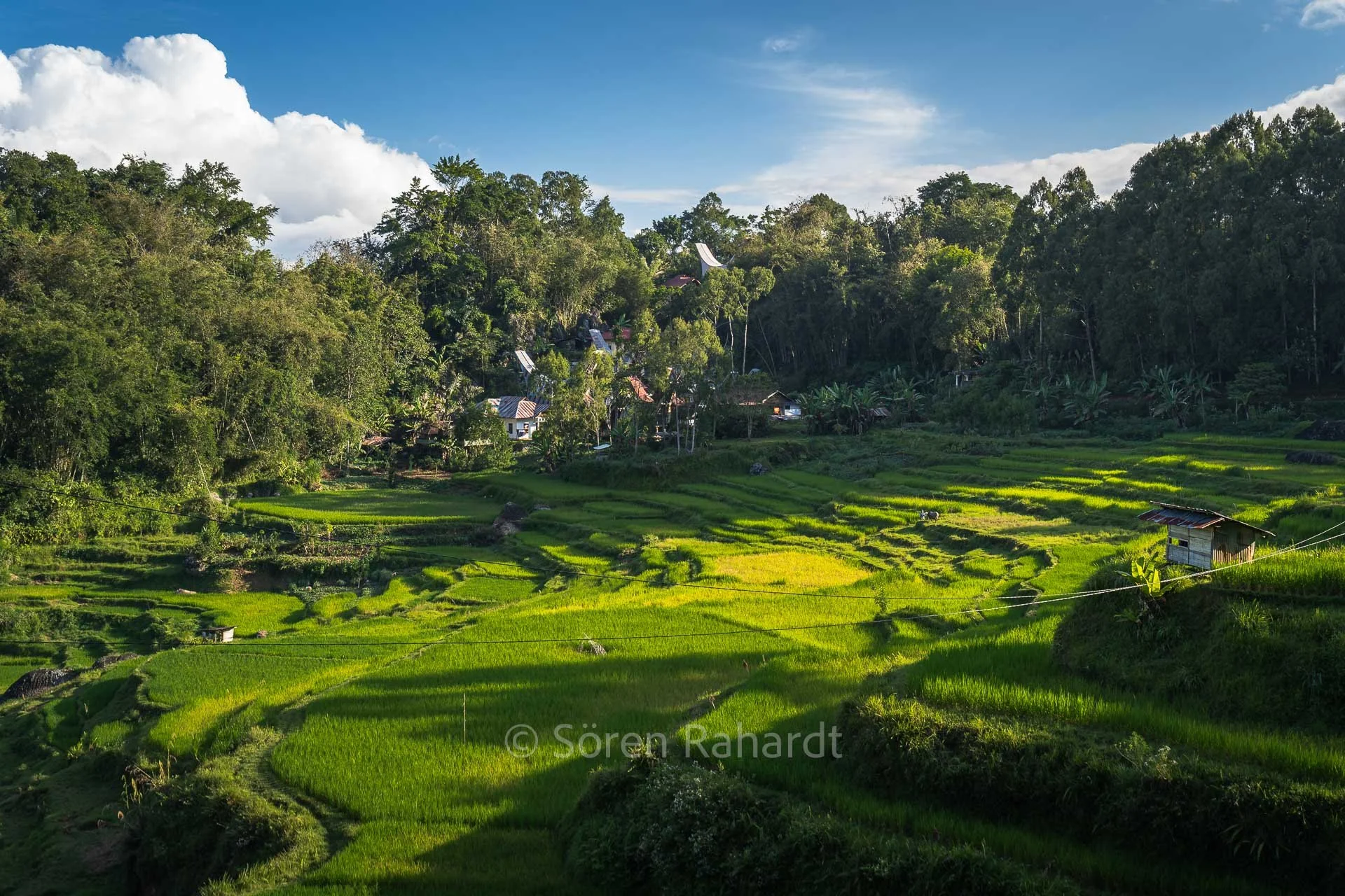 soeren-2023-landscape-indonesia-ricefield-historic-houses.jpg