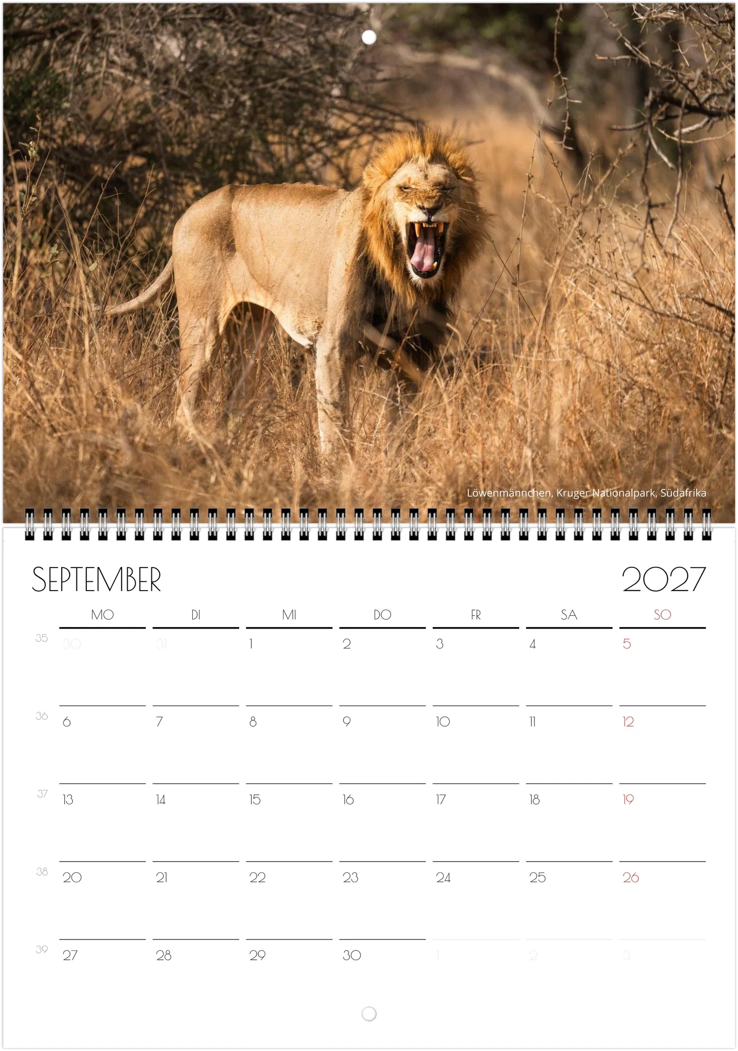 month-9.webp