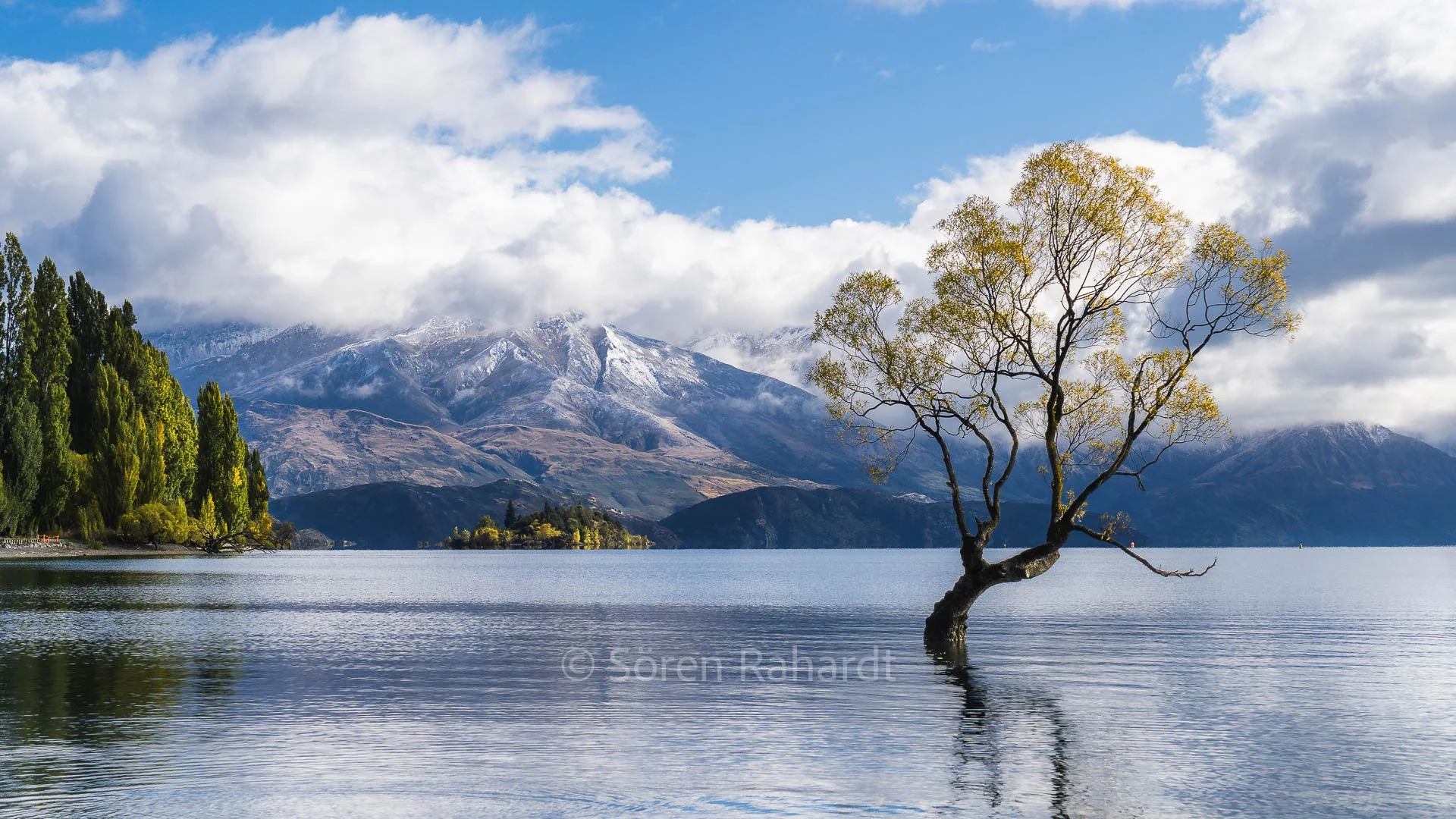 soeren-2023-landscape-new-zealand-wanaka-tree.jpg