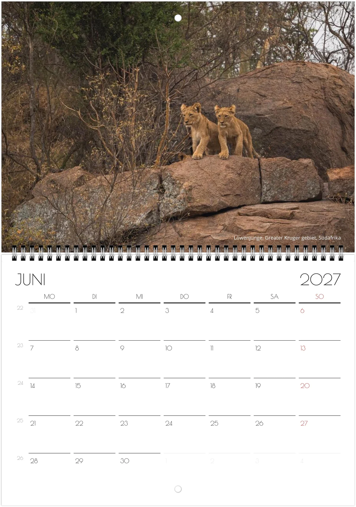 month-6.webp