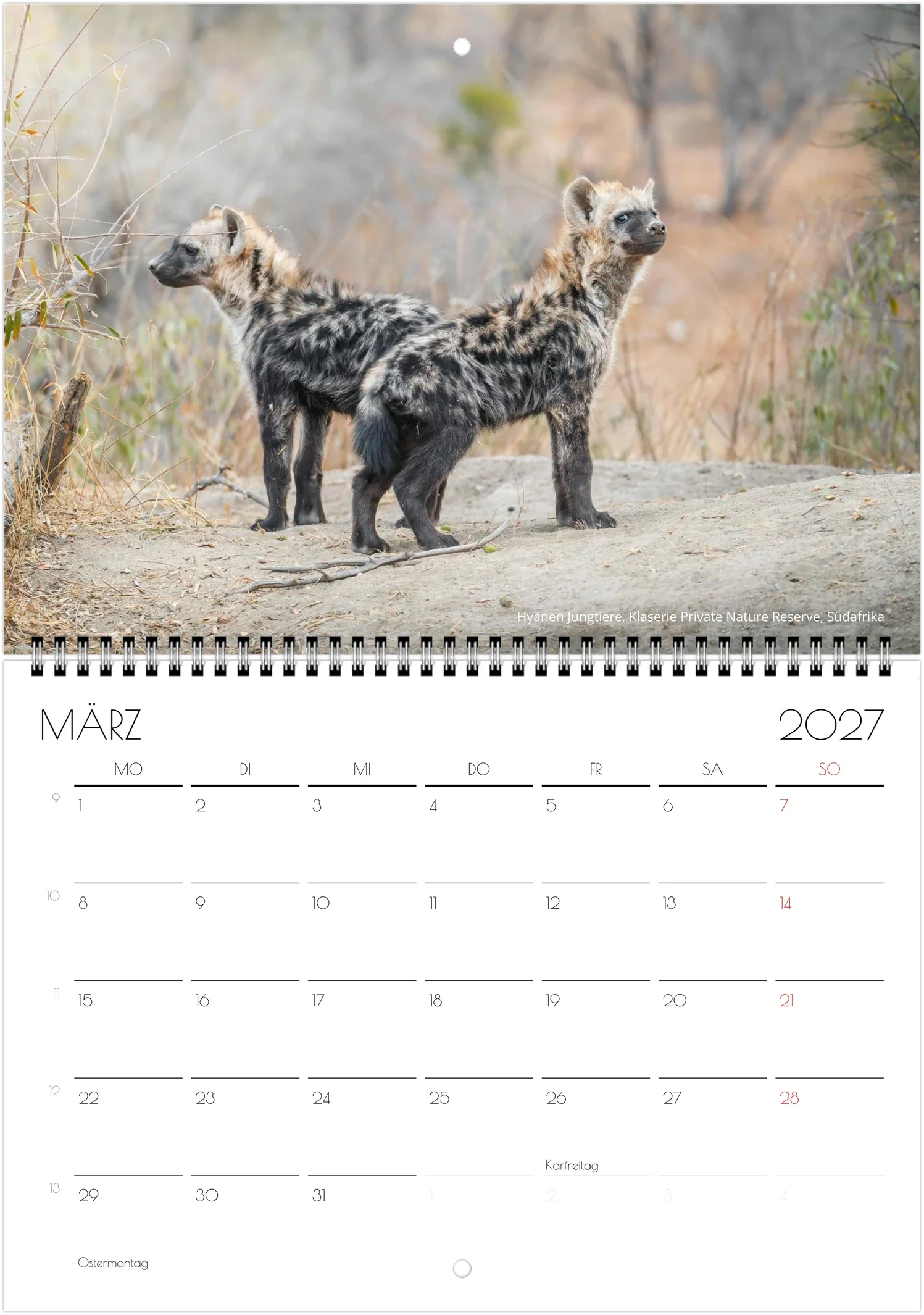 month-3.webp