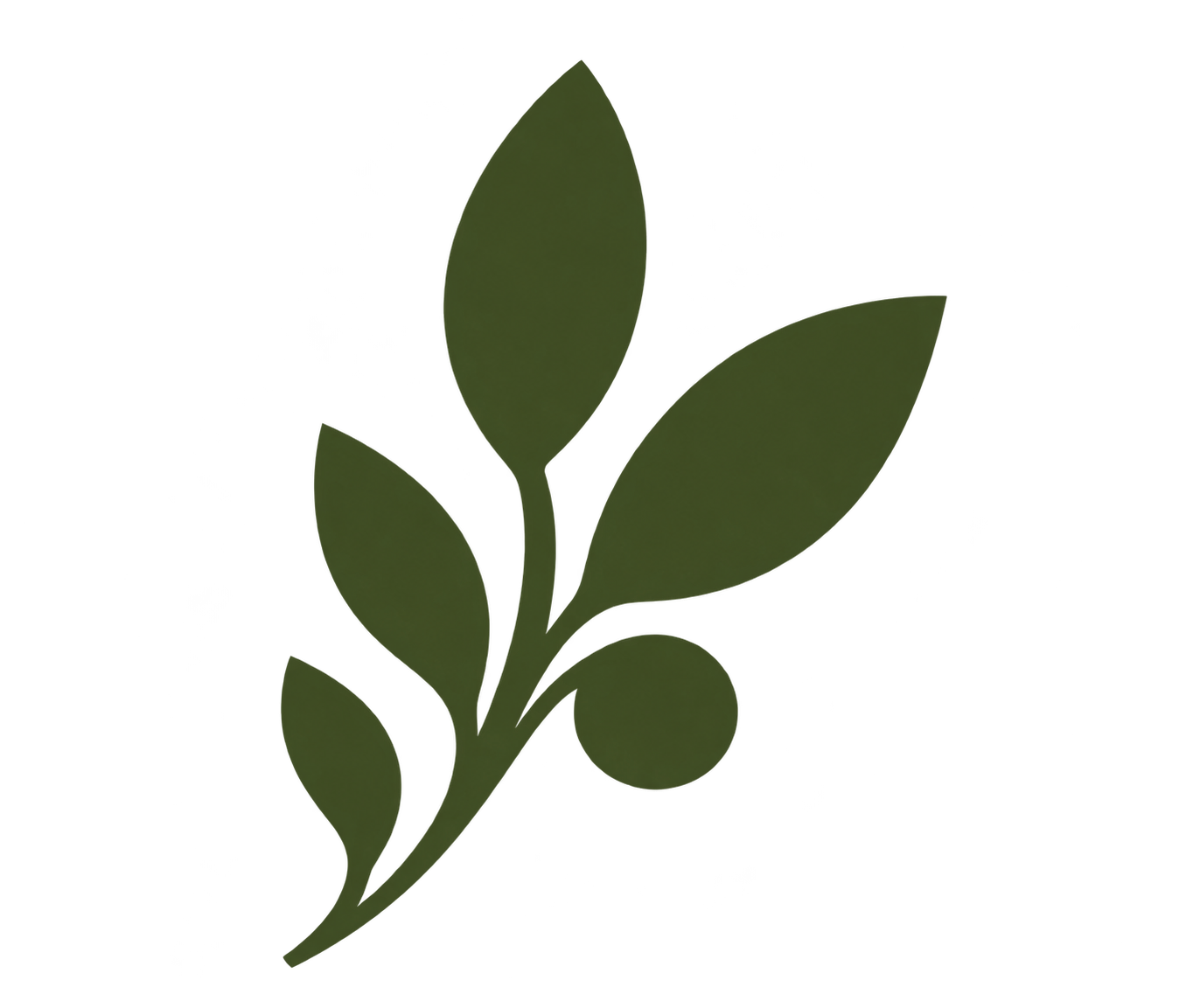 Illustration of a green leafy plant branch with multiple leaves.
