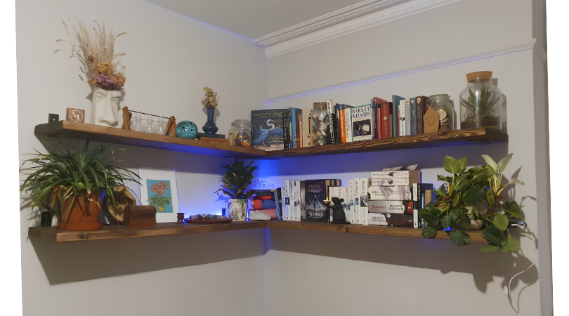 Two wooden shelves on white walls filled with books, plants, and decorative items, with blue accent lighting.