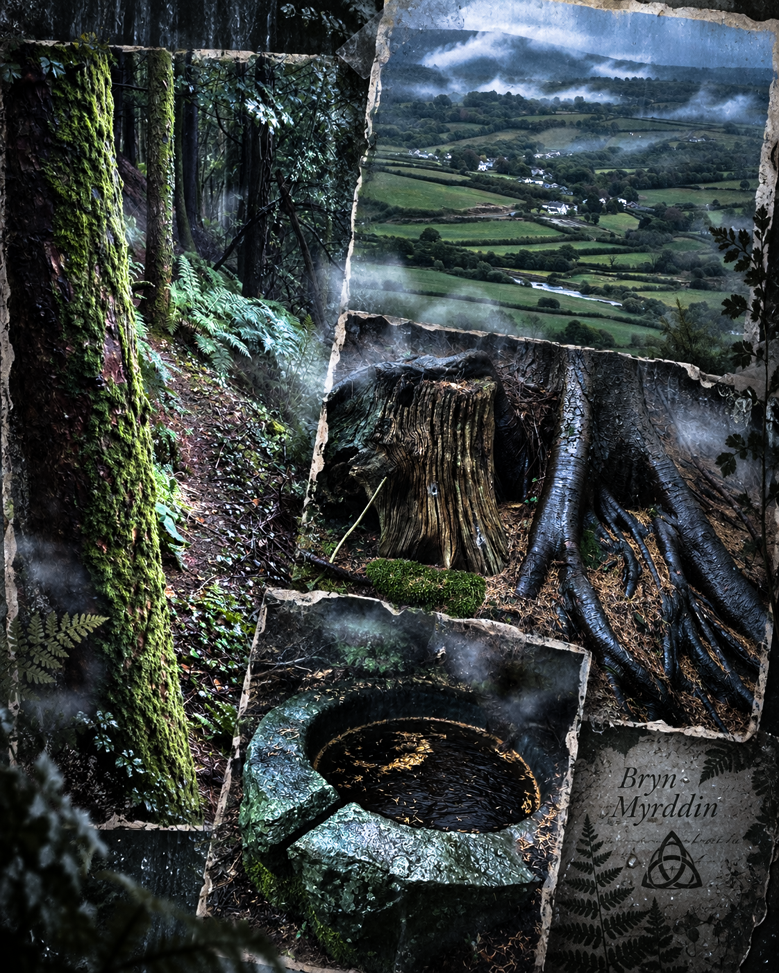 Bryn Myrddin