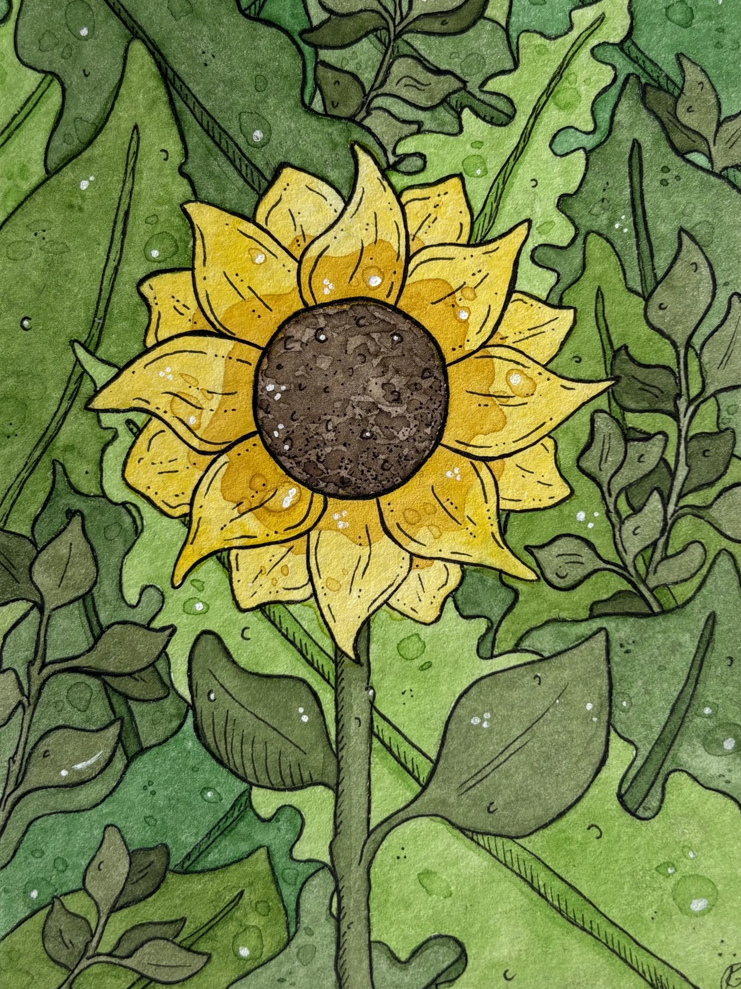 A close-up illustration of a sunflower with a dark brown center and yellow petals, surrounded by green leaves.