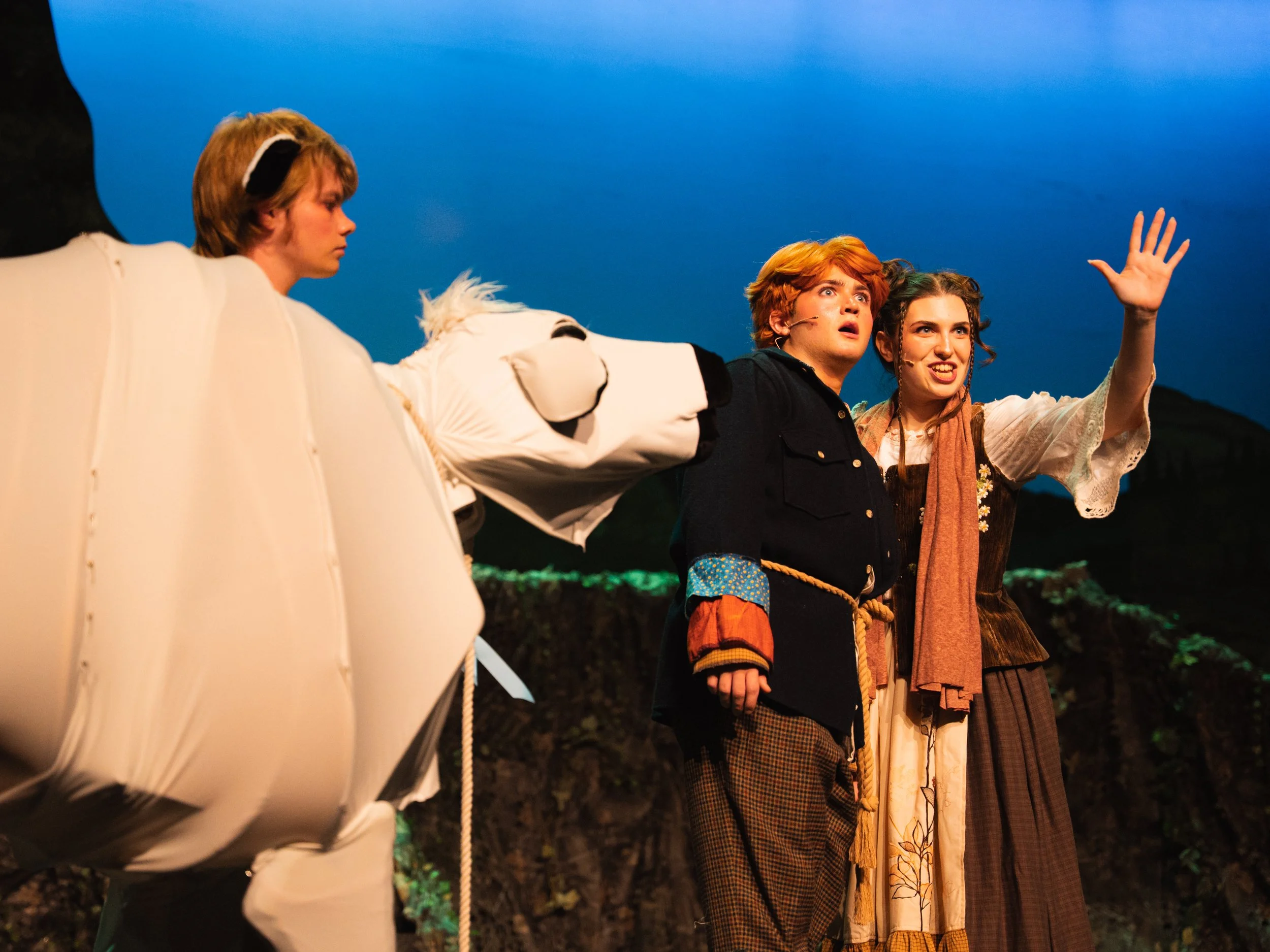 IntotheWoods-77.JPEG