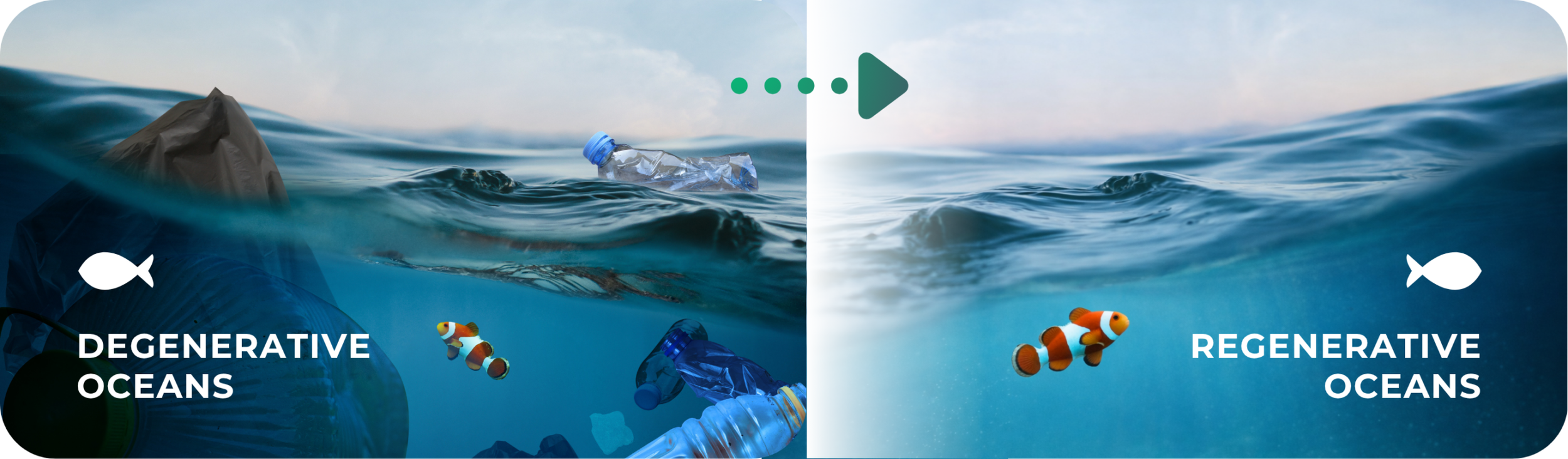 Regenerative Ocean Practices: Unlocking GCC’s Path to Climate Resilience