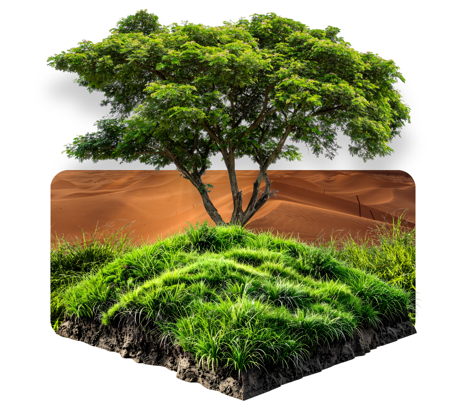 What is ESG? A Practical Guide for Organisations in The UAE