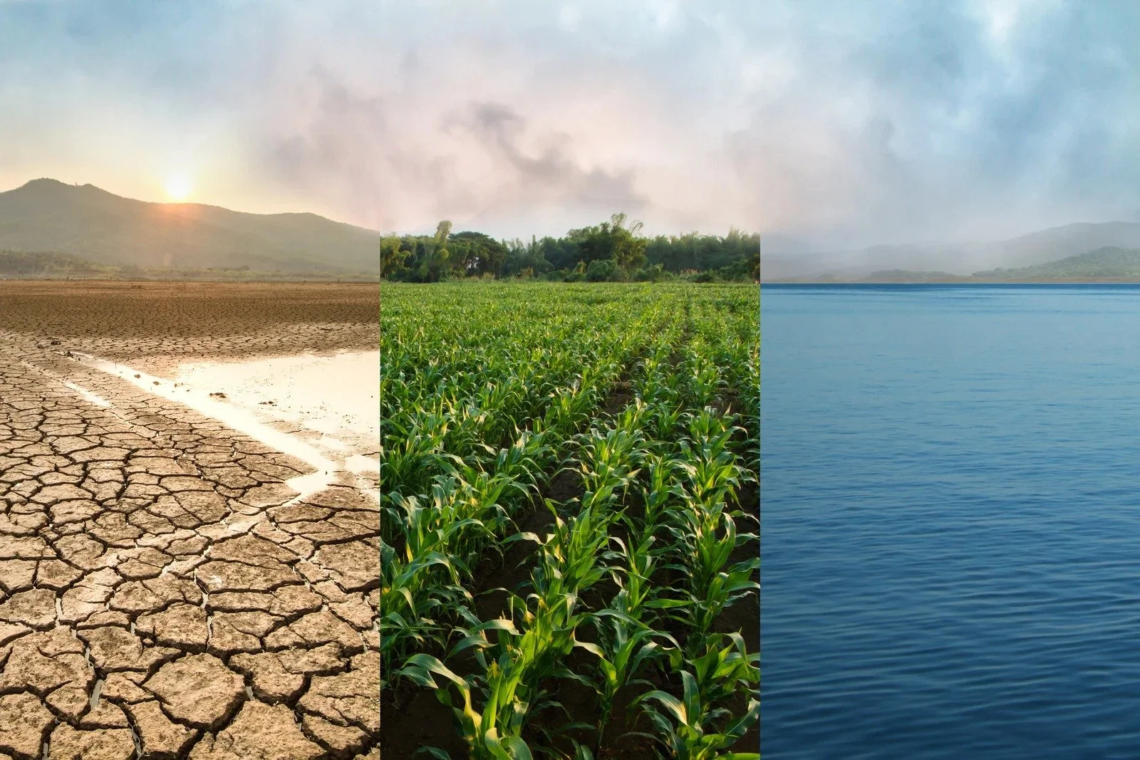 Understanding UAE Federal Decree-Law No. 11 of 2024: A Business Guide to Climate Compliance