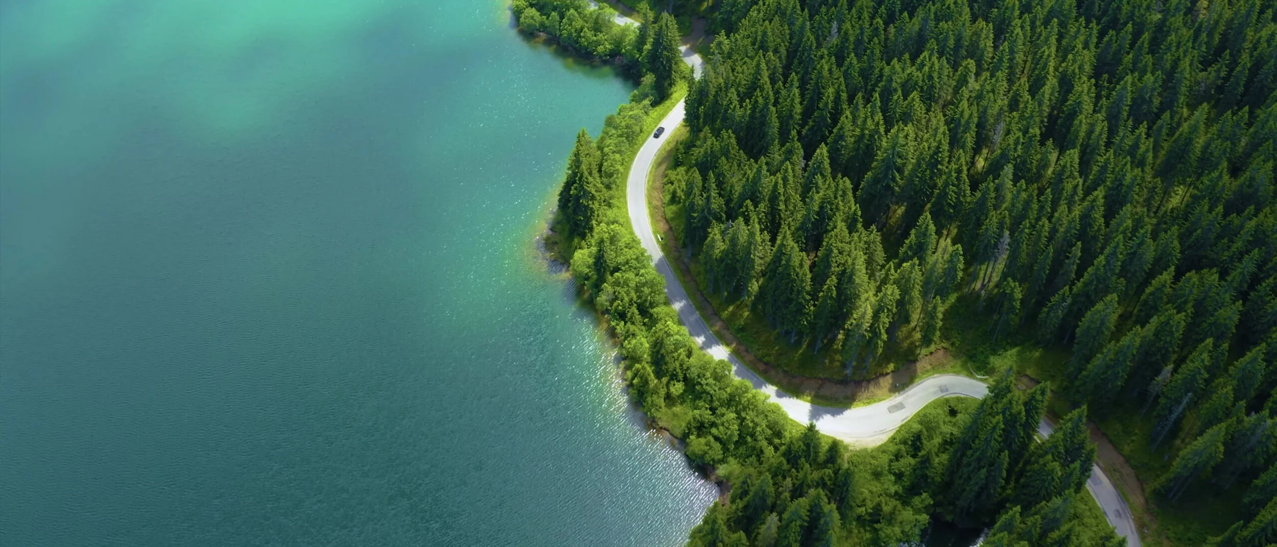 An aerial view of a winding road running alongside a large body of water, with a dense forest of green trees on the other side.