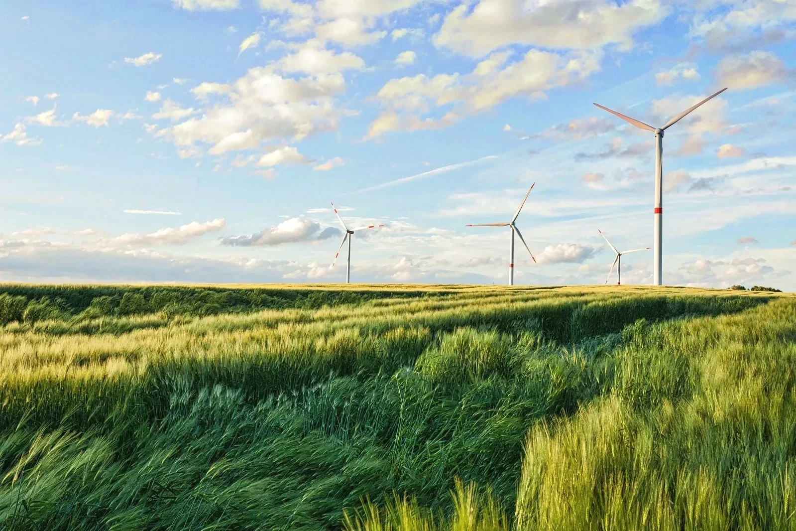 The UAE Net Zero 2050 Roadmap: What It Means for Your Company