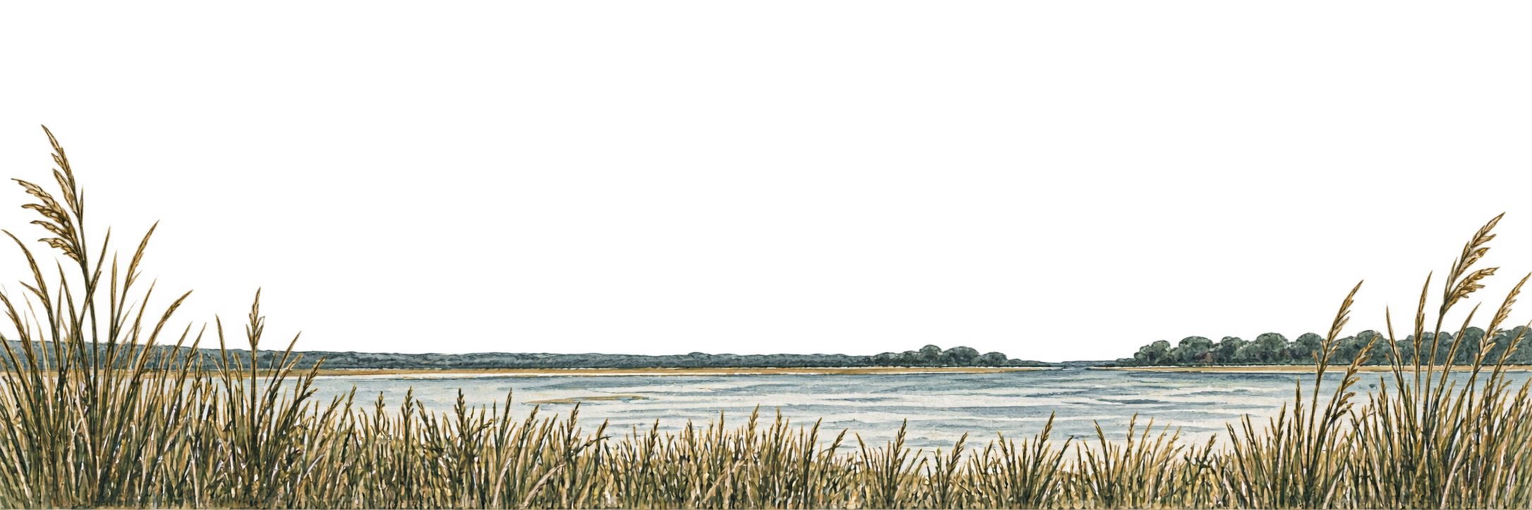 Waterfowl station at a snowy lake with grass and trees in the background.