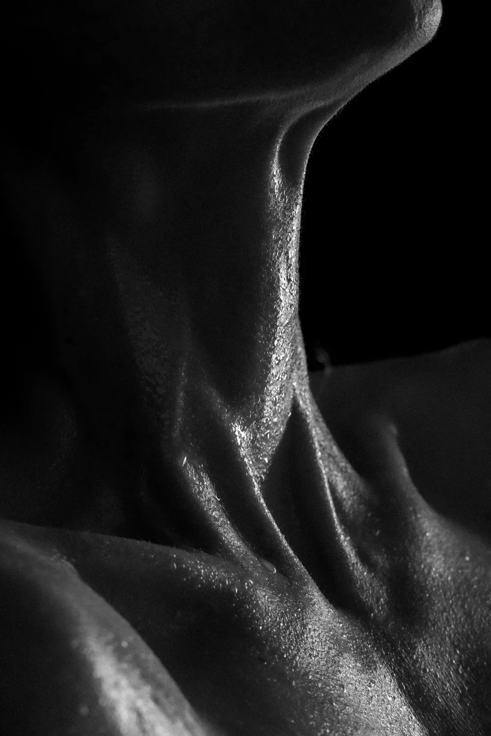 Close-up black and white photograph of a human body, focusing on the curves and texture of the skin with dramatic lighting.