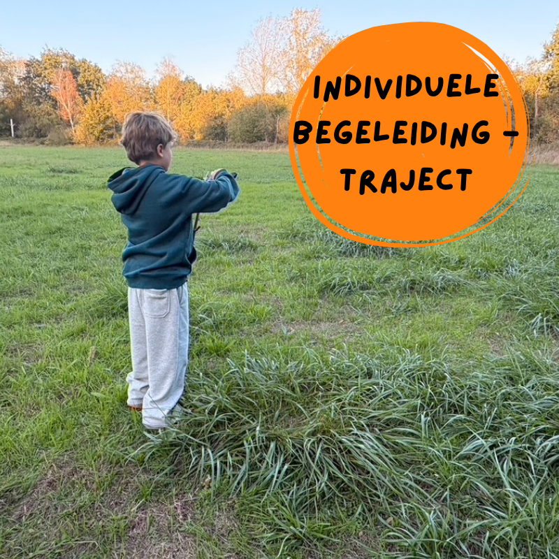 Ondersteuning - traject