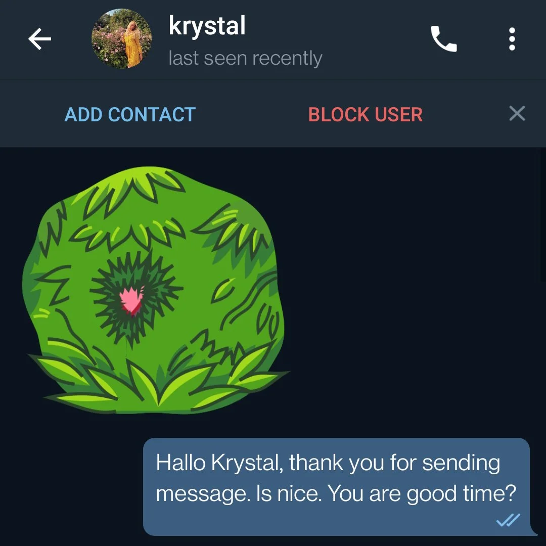 KRYS01.jpg