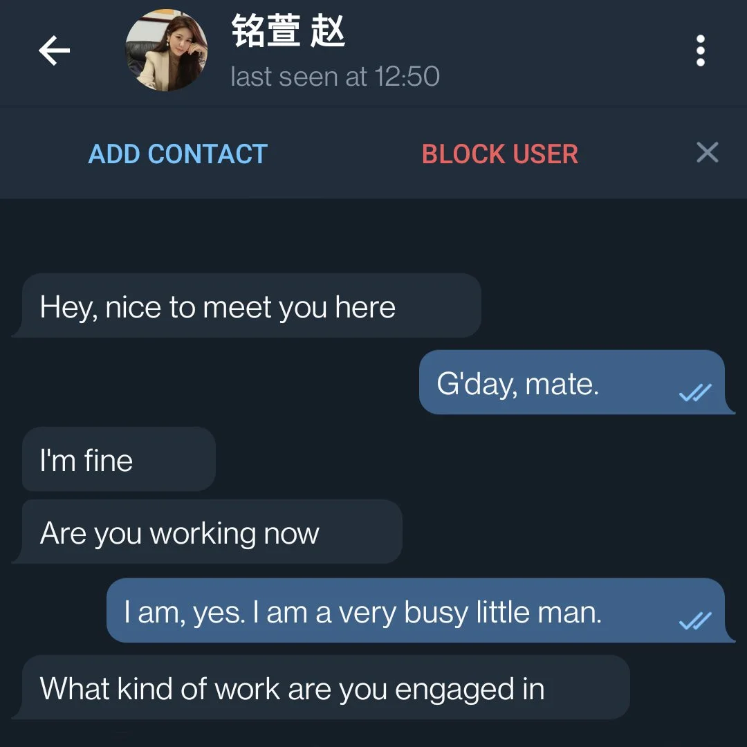 Ming 01.jpg