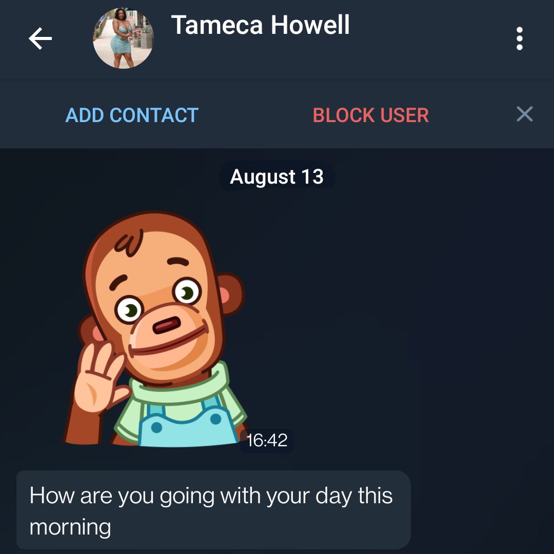 Tameca01.jpg