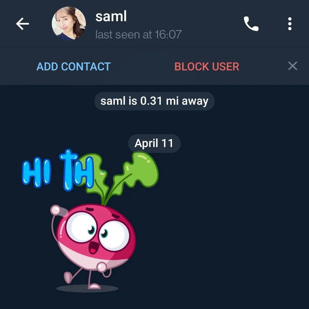 Sam01.jpg