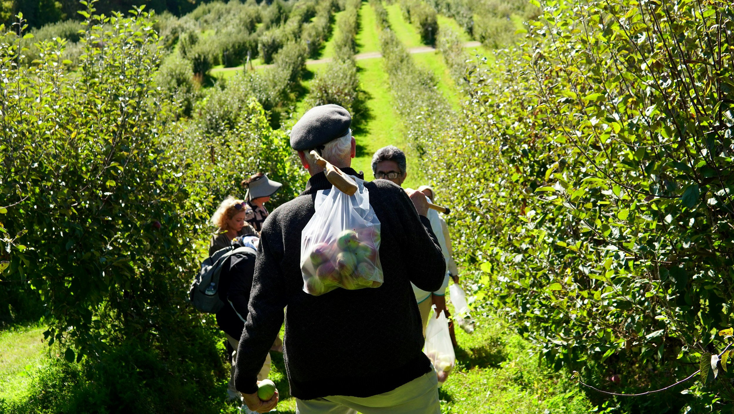 A Taste of Ontario: Exploring Agritourism Across the Province
