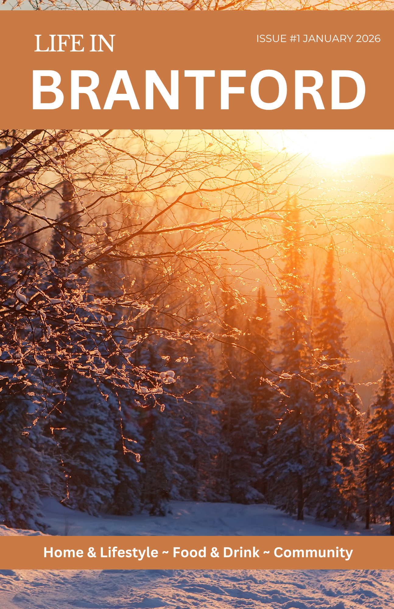 Life In Brantford: January