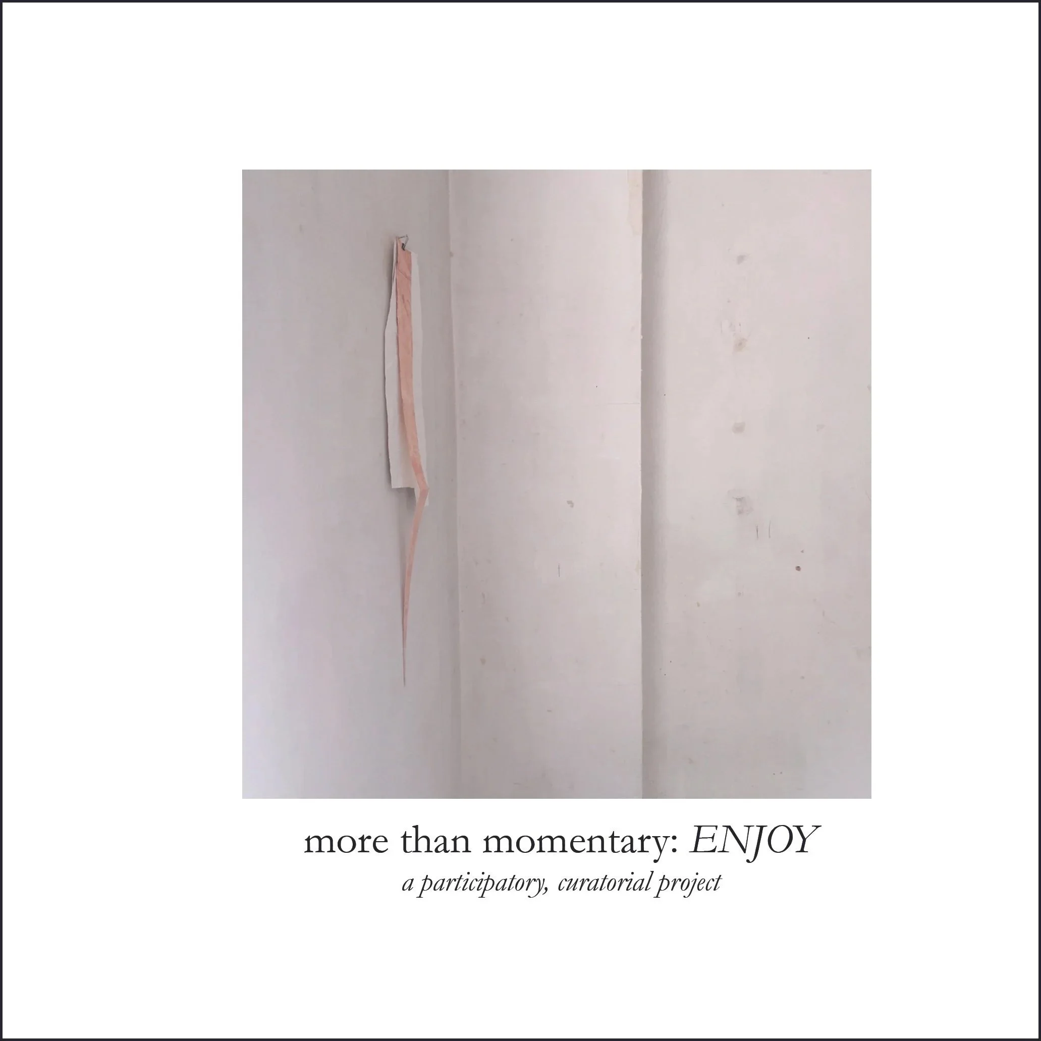   more than momentary: ENJOY , 2015, artists book 