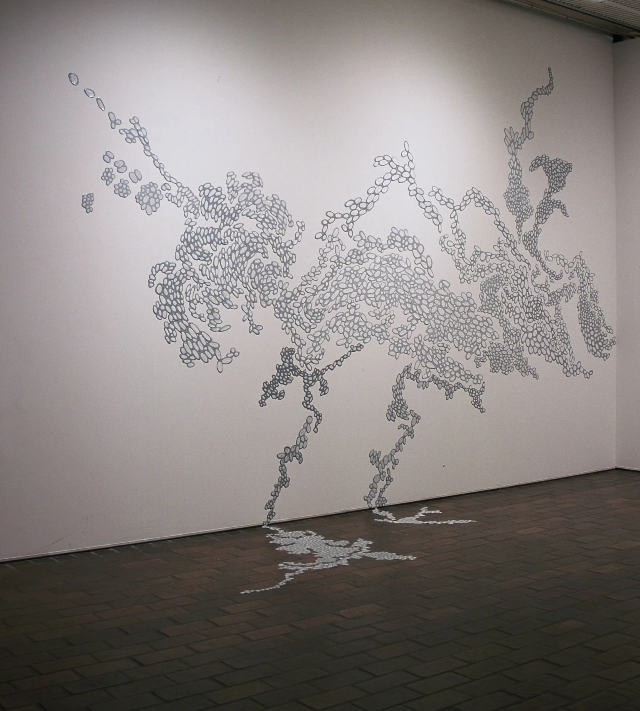   Streaming Cells , 2000, poured paint, 10’ x 18’ x 4”, Green Street Gallery, Boston, MA 