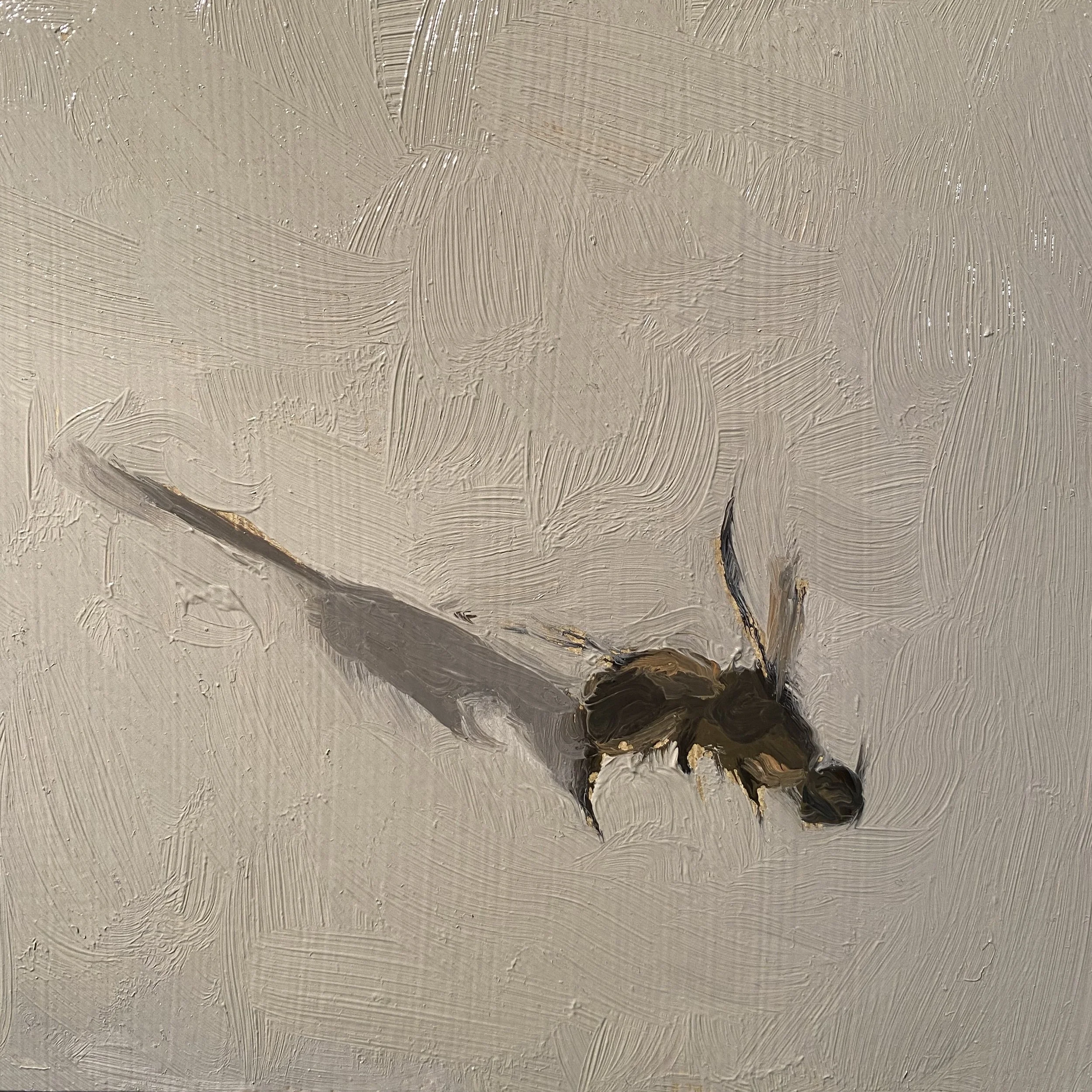   Dead Bee,  2020, oil on board, 5.18 x 6.15 