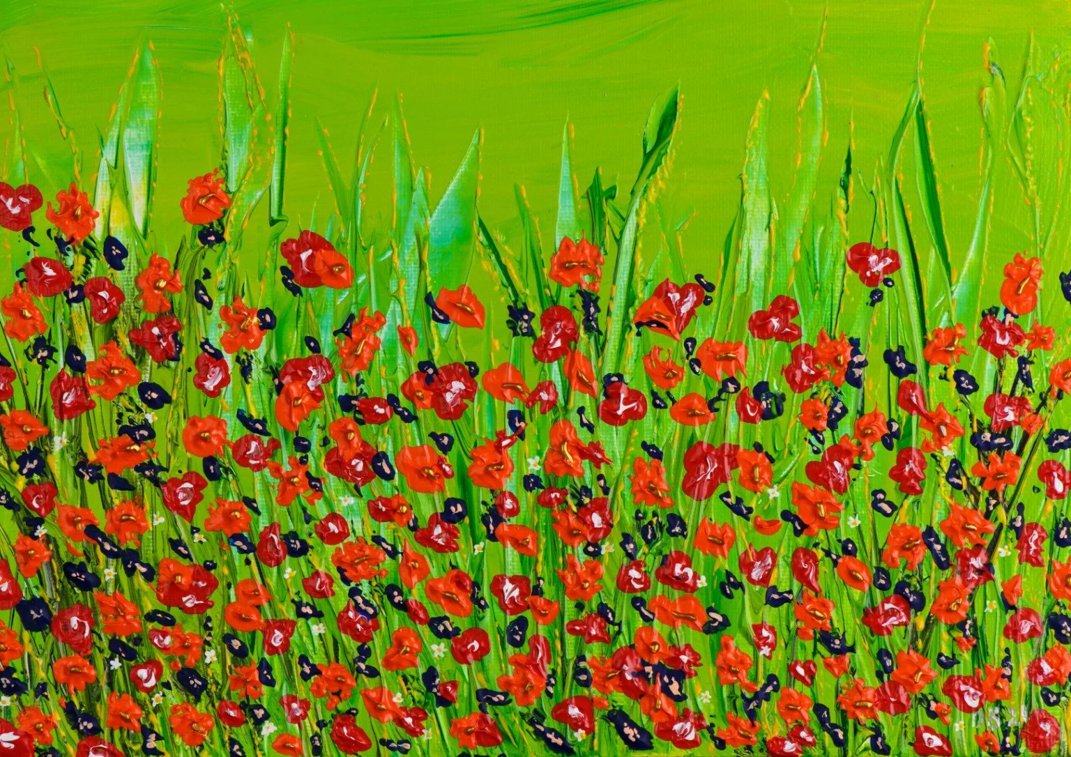 Hidden Daisies