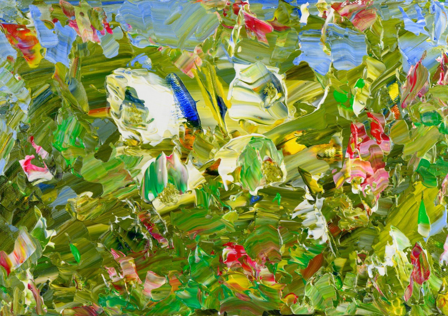 Butterfly Fields
