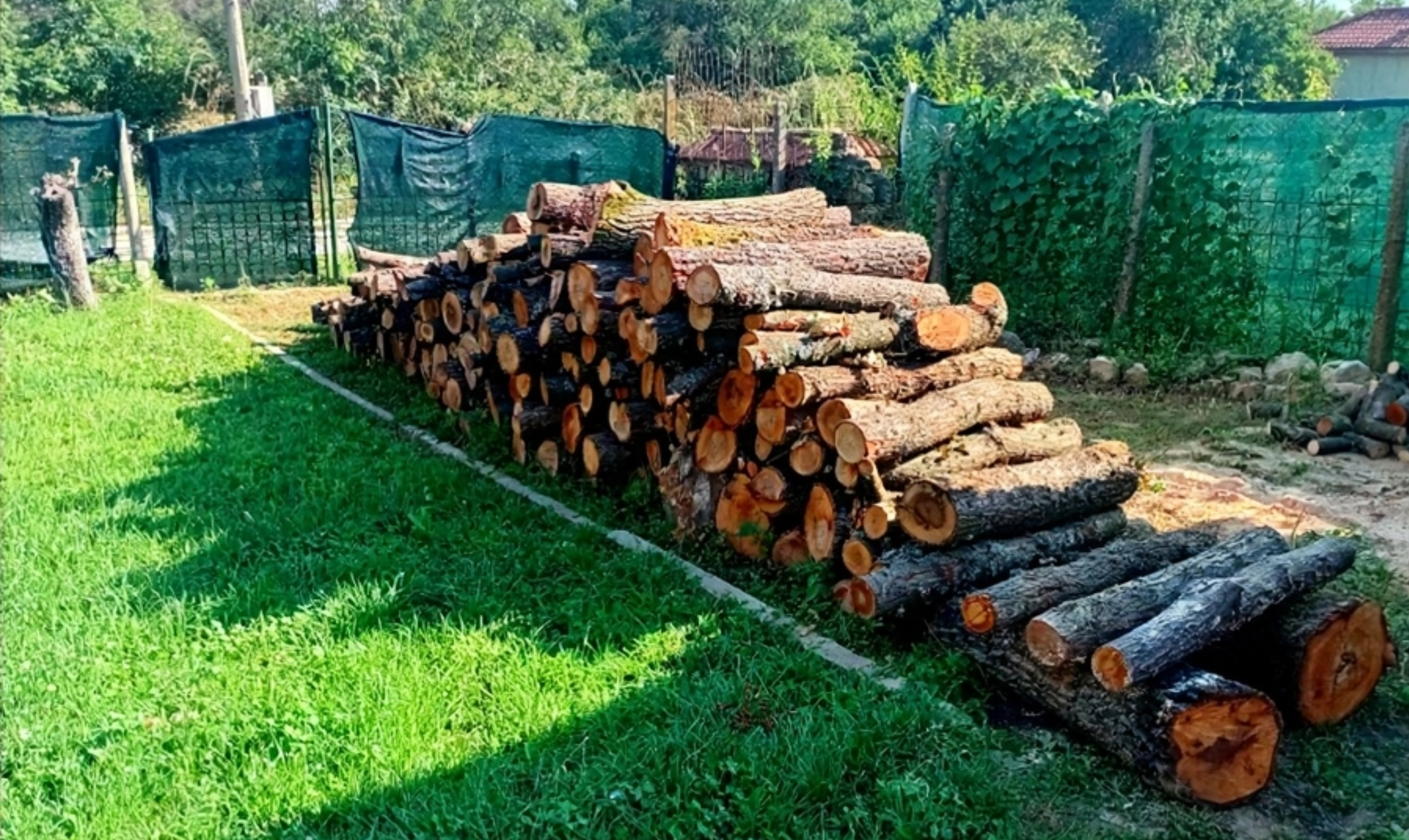 logs edited.png
