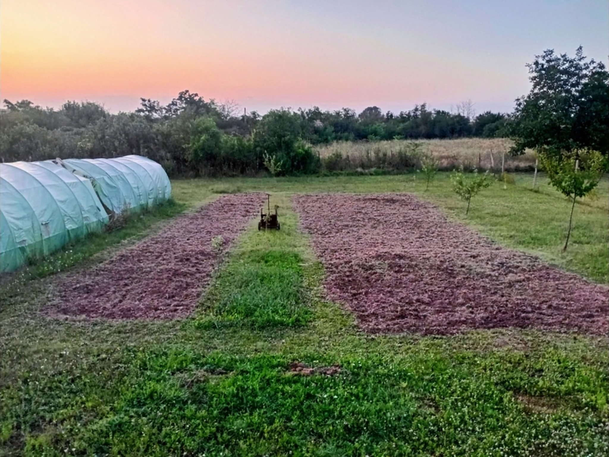 tilled edited.png