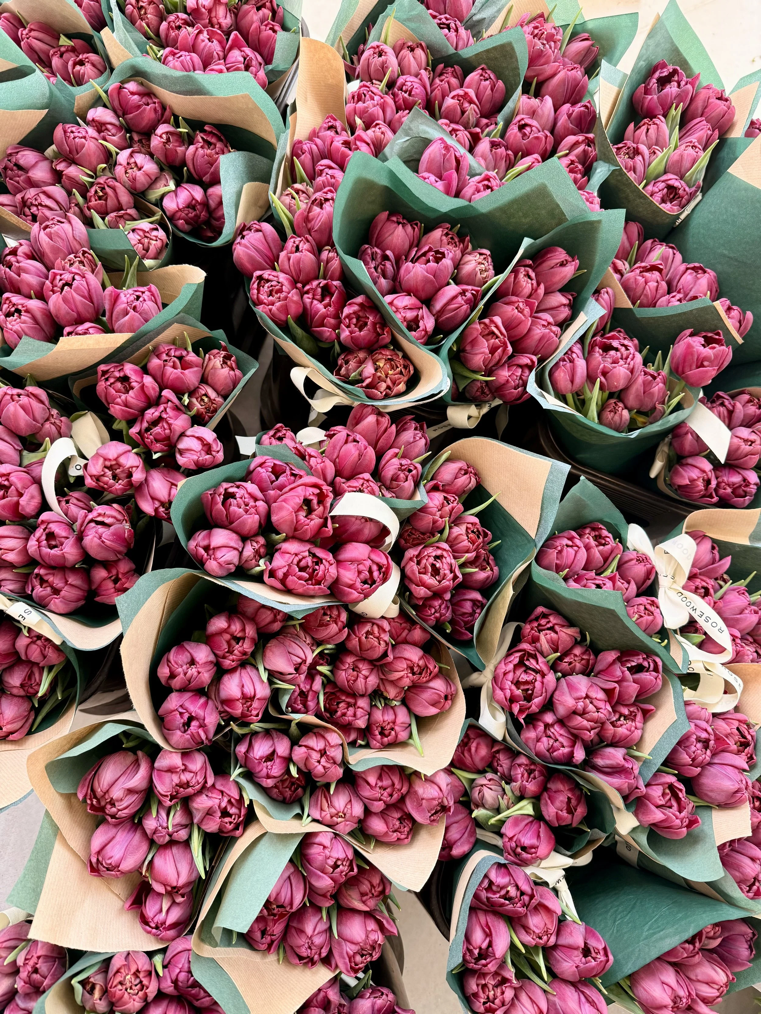 Multiple bouquets of pink tulips wrapped in green and brown paper.